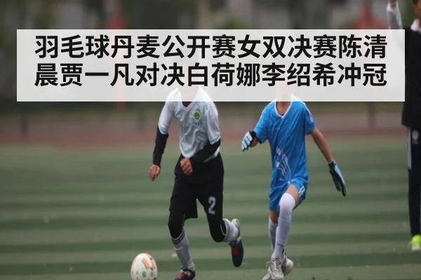 羽毛球丹麦公开赛女双决赛陈清晨贾一凡对决白荷娜李绍希冲冠